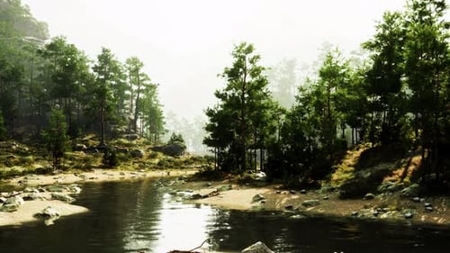 A Serene River Flowing Through a Vibrant Green Forest