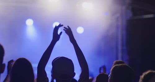 Silhouetted Concert Crowd Enjoying Live Music Show