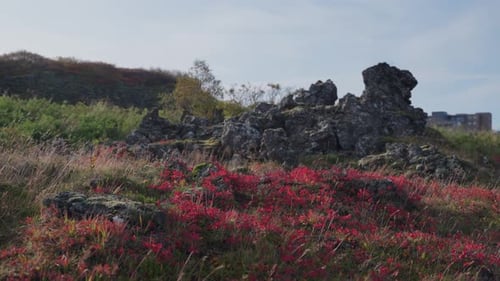 Leuchtend rote Herbstfarben in Südisland.