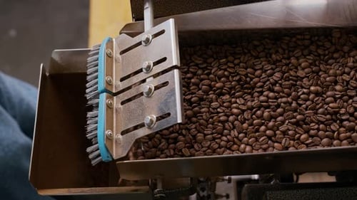 Roasting Machine with Flowing Coffee Beans at Factory