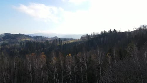Ein Vorbeiflug vom Boden über die Baumwipfel, der eine hügelige Landschaft im Hintergrund enthüllt.