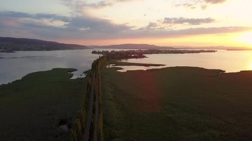 Aerial View of Forest Trees Woodland Landscape Scenery