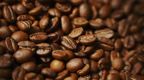Roasted Coffee Beans Close Up Detail