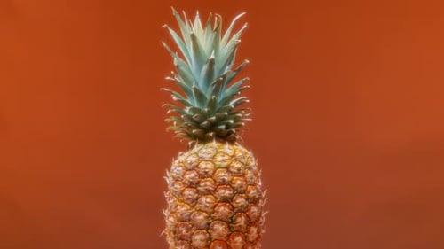 Fresh pineapple fruit on orange background. Slow motion