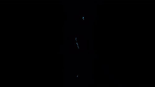 Dynamic Text and Logo Reveal Animation Pack