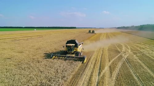 Aerial View of Farm Machines Harvesting Ripe Crops in the Golden Field in Gathering Season
