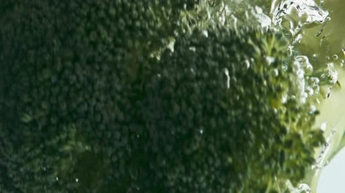 Fresh Broccoli Dropping Water Closeup. Green Florets Floating Bubbling Liquid in Light