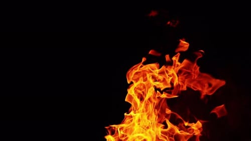 Fire flames, smoke and tiny sparks flying up. Burning bonfire at dark night. Close up.