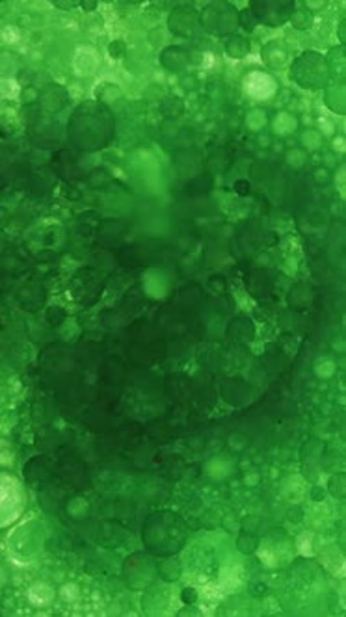 Vertical video. Green Plant Cells, Macro Abstraction, Rotating In Circles In Water.