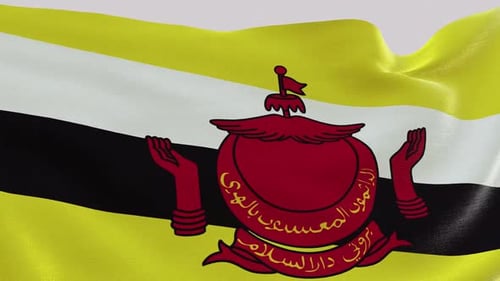 Brunei Fabric Flag