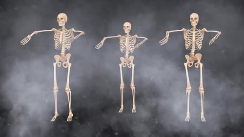 Brown Skeleton Samba Dancing 2