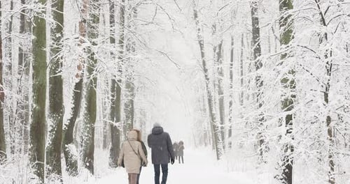 People Walking in Snowcovered Public Park in Holidays Winter Fairy Tale in the Forest Snowcovered