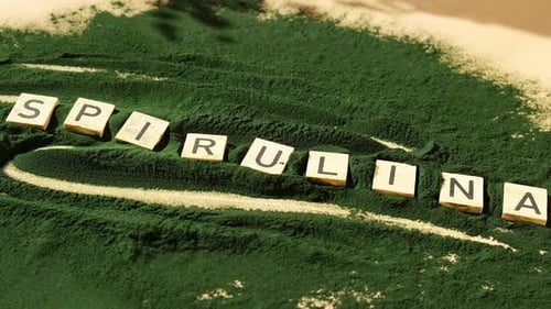 SPIRULINA Letter Chlorella on Green Background of Algae Superfood Organic Bluegreen Algae Spirulina