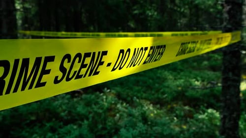 Yellow Crime Scene tape Do not cross in front of dark creepy and mysterious forest trees and nature.