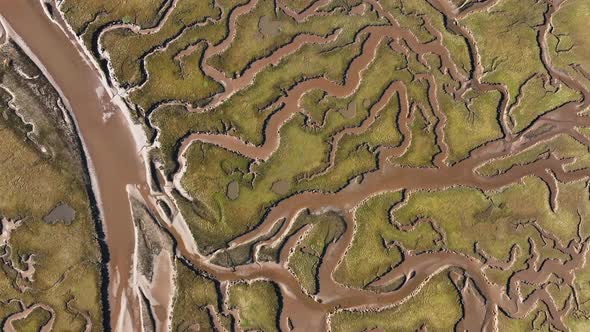Aerial view of river tyne salt marsh patterns, United Kingdom ...
