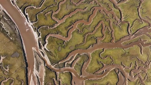 Aerial view of river tyne salt marsh patterns, United Kingdom.