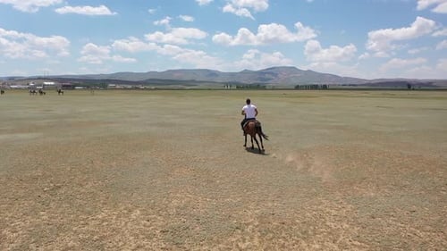 Horse And Man In Javelin Game With Aerial View