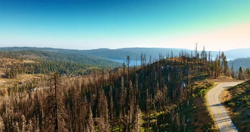 Scenic Forest Landscape with Road and Lake