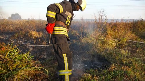 Firefighter Extinguishing Wildfire in Rural Field