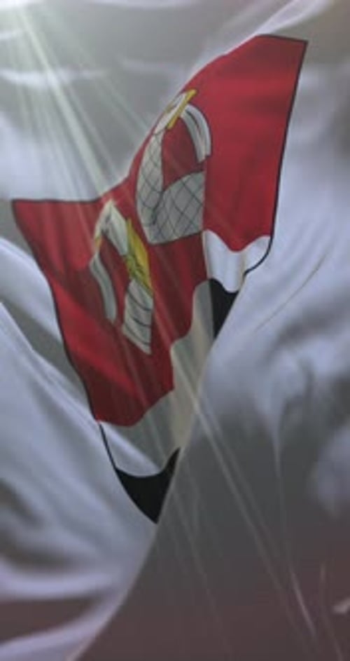 Realistic Waving Flag with Coat of Arms Vertical Animation