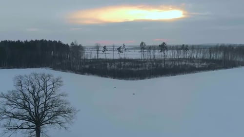Snowy Field at Winter Sunrise Aerial View
