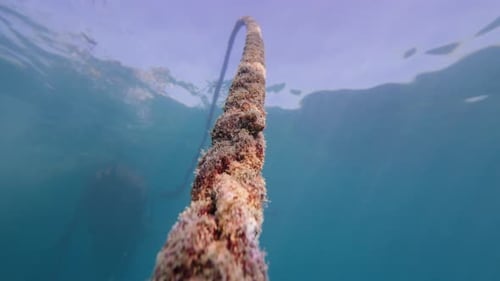 Close up view of a lengthy anchor rope underwater in the clear ocean