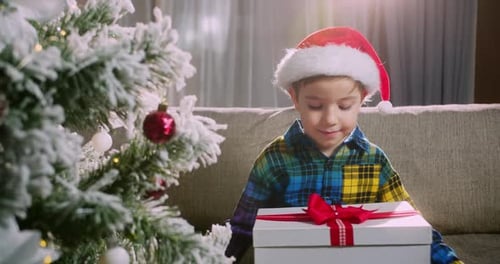 Boy Opens Christmas Gift Near Decorated Tree