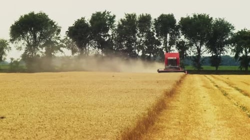 Agricultural machinery combine harvester working on field. Wheat harvest. Combine harvester working