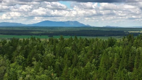 Aerial footage of lush green forest with distant mountains