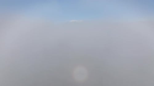 Thick layer of fog gathered above dense conifer pine tree forest with blue sky above and snow capped