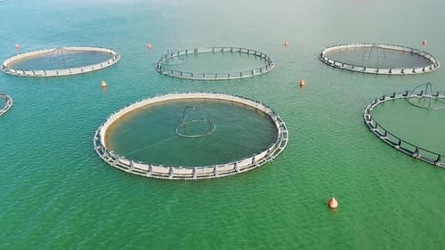 Aerial View Of Fish Ponds In The Dam Lake 4