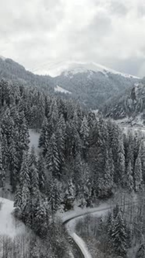 Winter Mountain Landscape