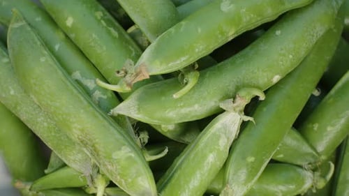 Pea Pods, Fresh Greens rotating top view.