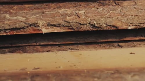 Wood Factory Stock and Lumber Board with Nature Business Export the Camera Moves Forward Slow Motion