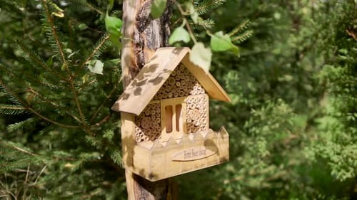Panning shot of a bee hotel, Insect hotel on the tree in an orchard