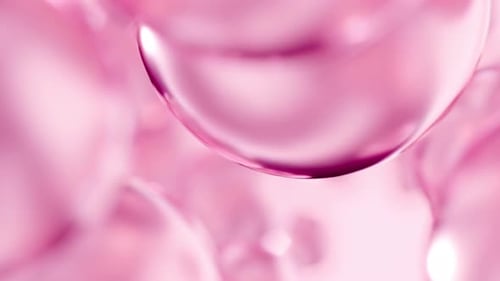 Pink Rose Cosmetic Beauty Care Essential Oil Bubbles Macro Close-Up