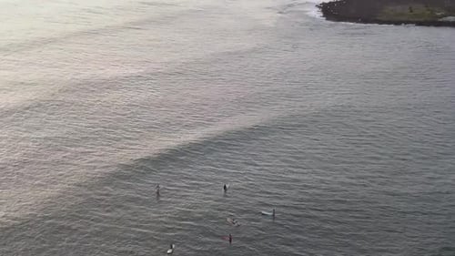 Drone aerial surfers bouncing on waves sunset Hawaii