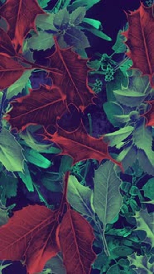 Autumn Leaves Vertical Background 04