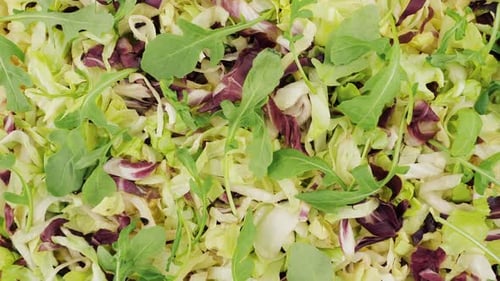 Green Vegetable Salad