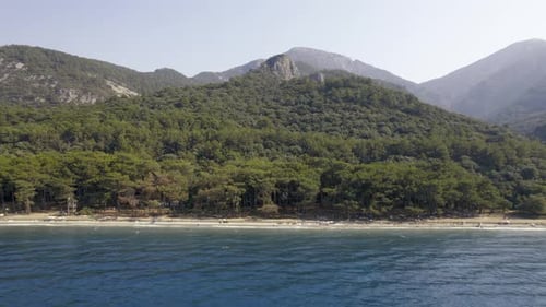 Drone Flies Over a Beach and Sea Bird Eye View