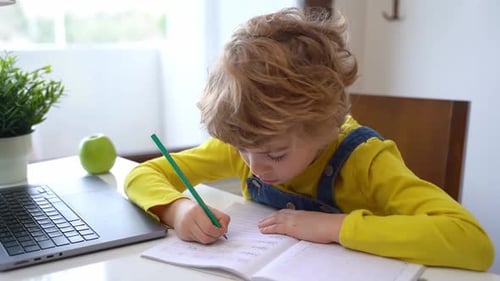 Close Up Schoolboy Child Write Exercise Alphabet Using Laptop Online Educational Lesson Programming