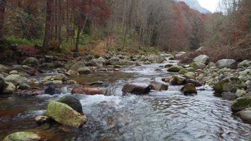 River water flow in mountain forest at autumn