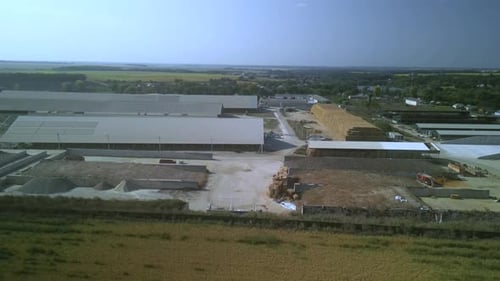 Corn Silage Harvesting with Forage Harvester on Field
