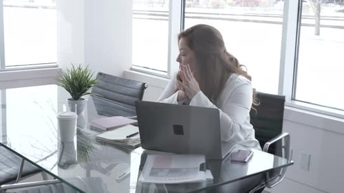 Woman at Desk with Laptop in Office Adult