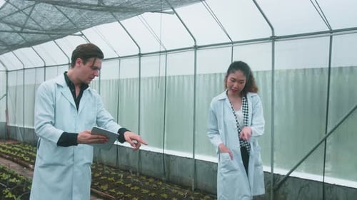 Scientists Examine Growing Crops in Greenhouse