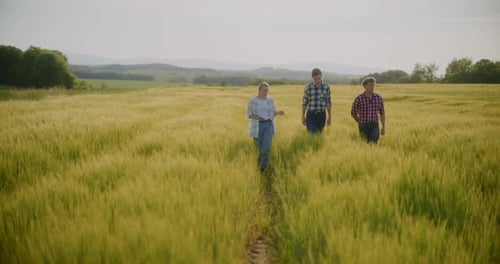 Farmer In Field Examining Crops Agriculture