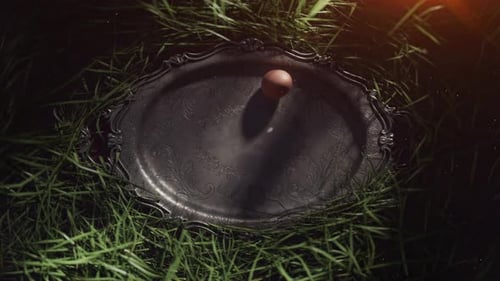 Brown egg rolling on vintage tray in green grass.