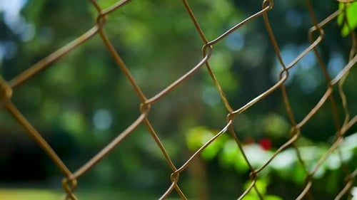 In a captivating slow-motion sequence, the camera pans across a close-up view of a fence. Every deta