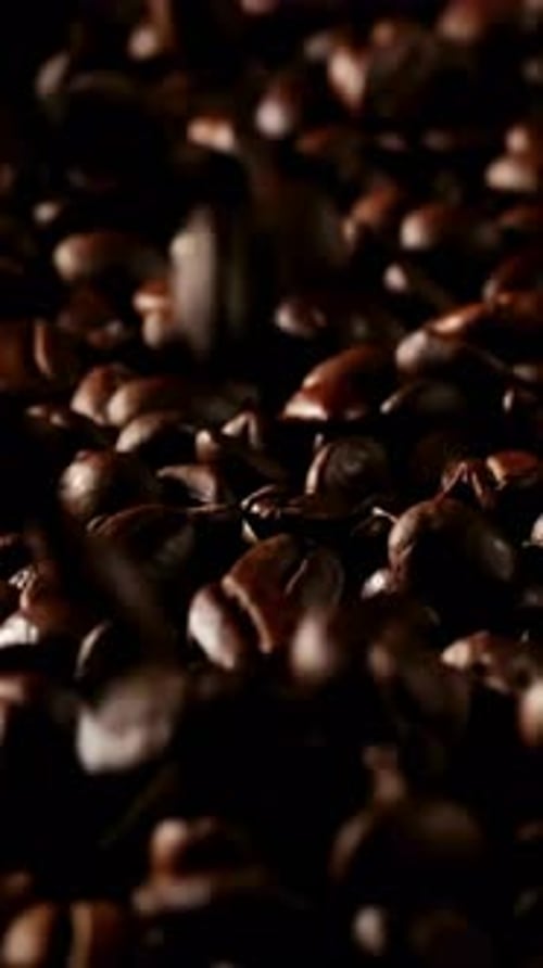 Vertical View Of Coffee Beans