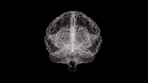Animated Wireframe Brain Scanning Neural Network